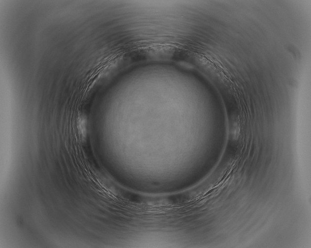 X0000113341108200909151125