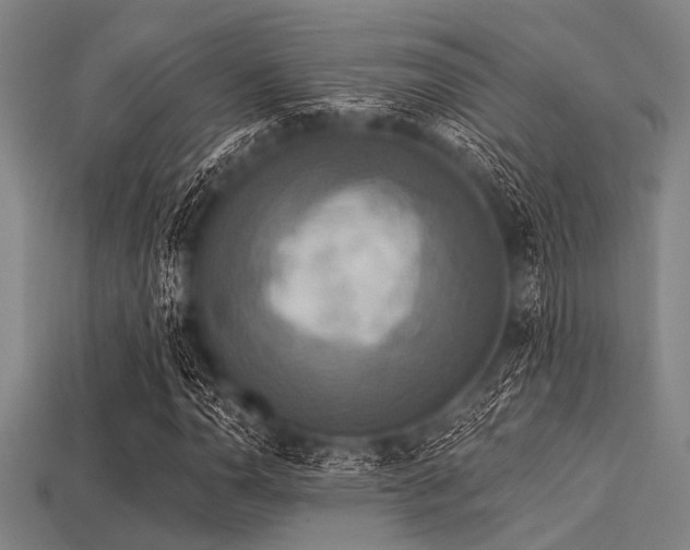 X0000113341110200909151125