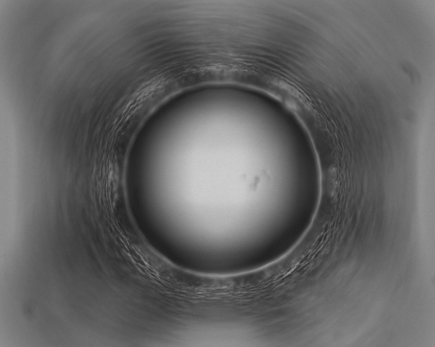 X0000113341111200909151125
