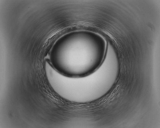 X0000113341112200909151125