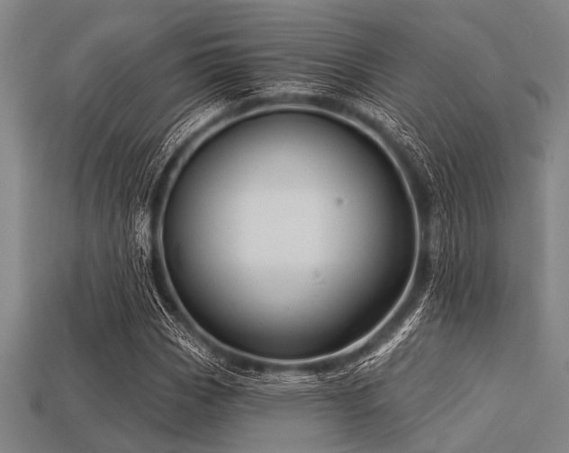 X0000113341113200909151125