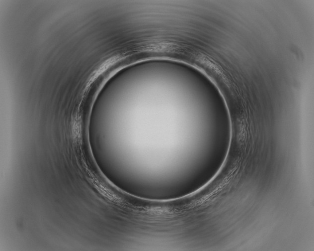 X0000113341114200909151125