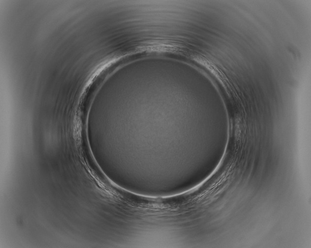 X0000113341115200909151125