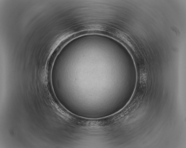 X0000113341116200909151125