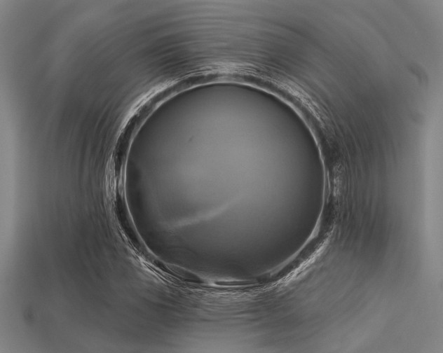 X0000113341117200909151125