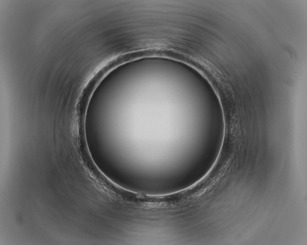 X0000113341118200909151125