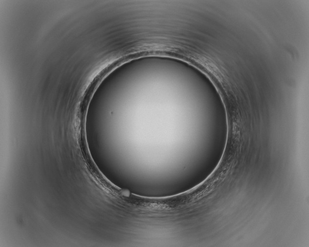 X0000113341119200909151125