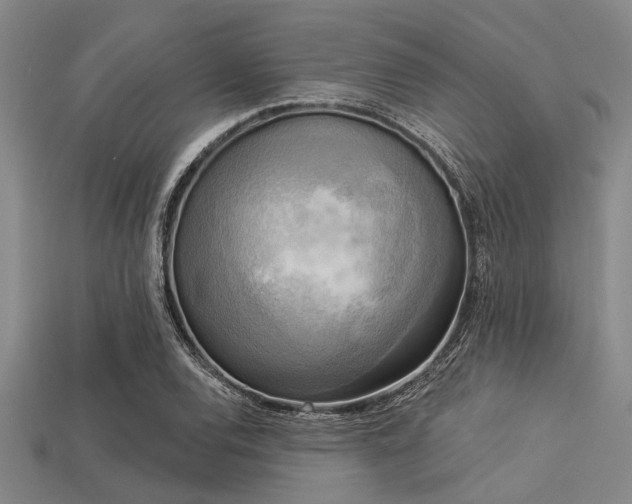 X0000113341120200909151125