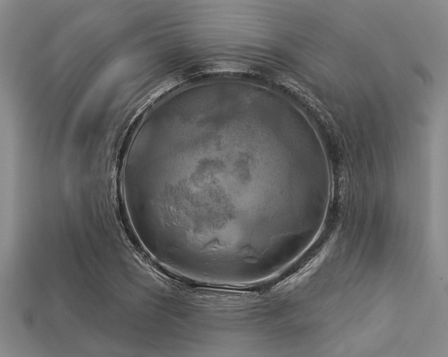 X0000113341121200909151125