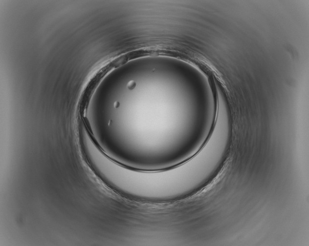 X0000113341122200909151125