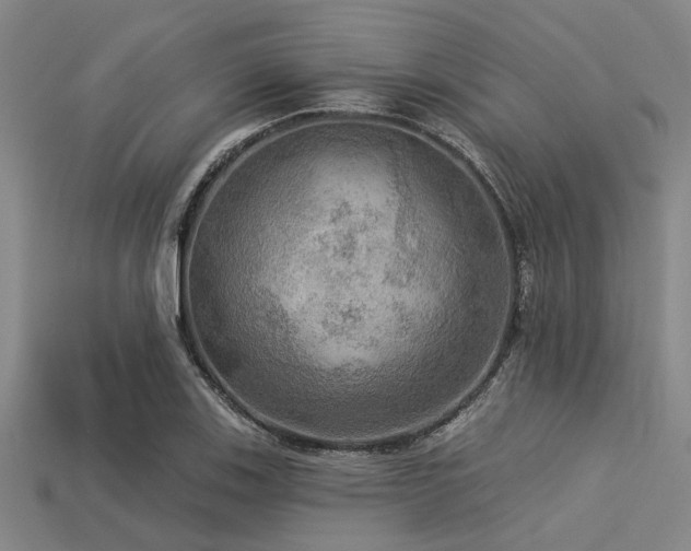 X0000113341123200909151125