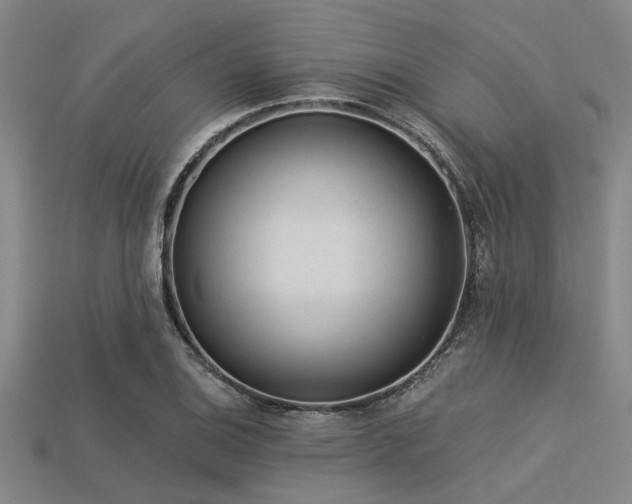 X0000113341124200909151125
