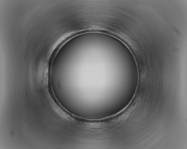 X0000113341126200909151126