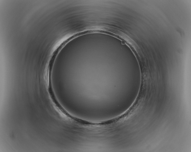 X0000113341127200909151126