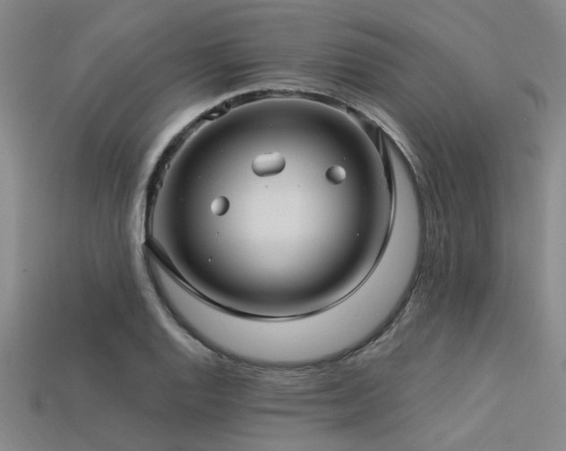 X0000113341128200909151126
