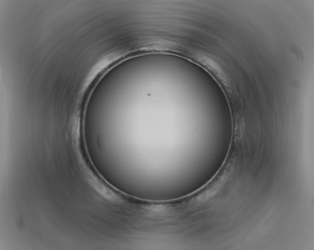 X0000113341130200909151126