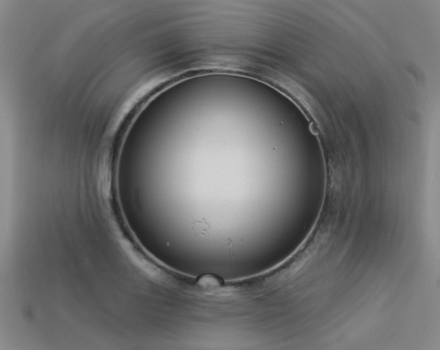 X0000113341131200909151126