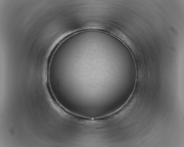 X0000113341132200909151126