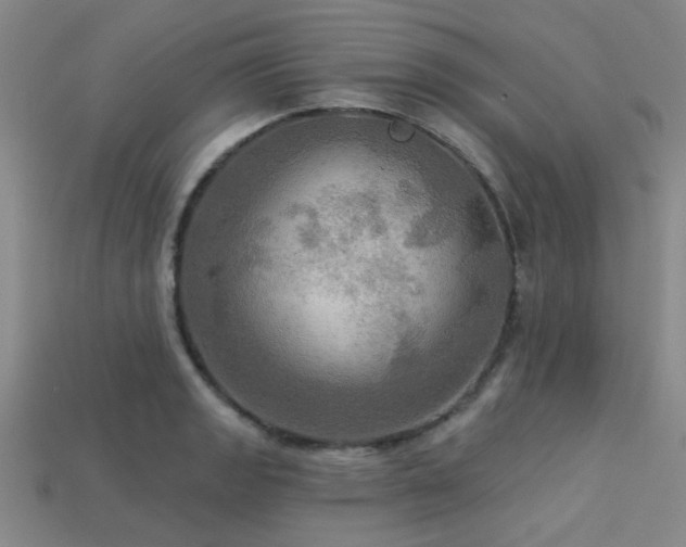 X0000113341133200909151126