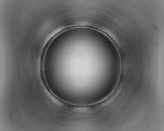 X0000113341134200909151126