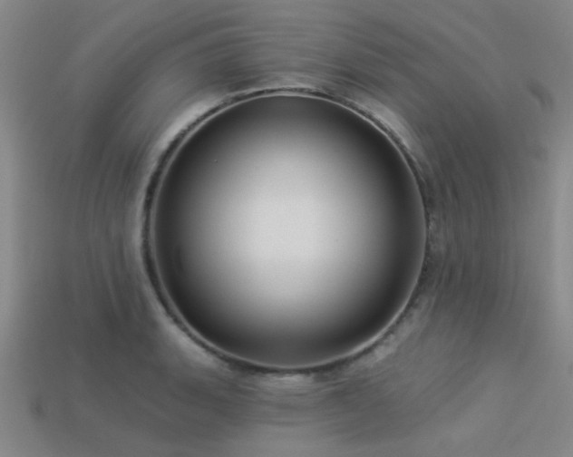 X0000113341135200909151126