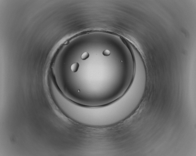 X0000113341136200909151126