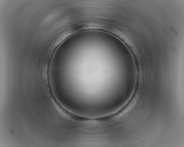 X0000113341137200909151126