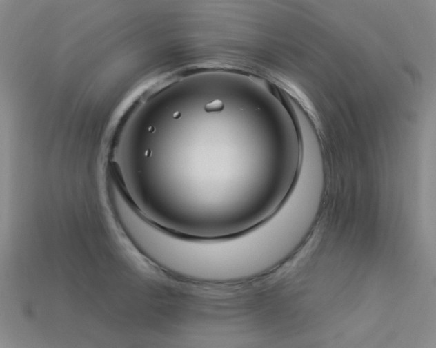 X0000113341138200909151126