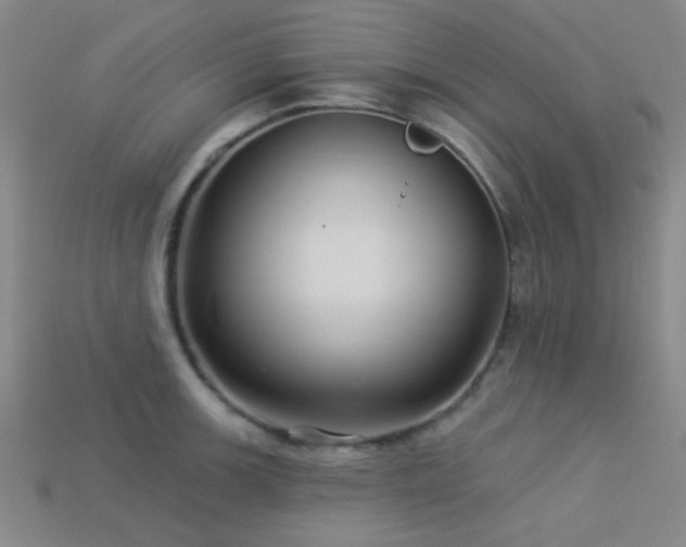 X0000113341139200909151126