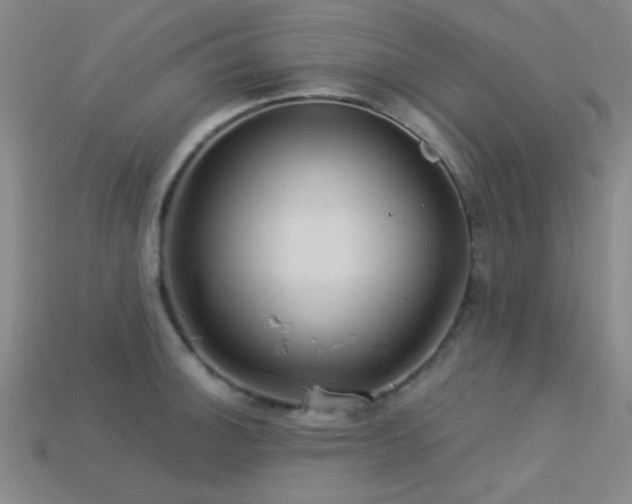 X0000113341140200909151126