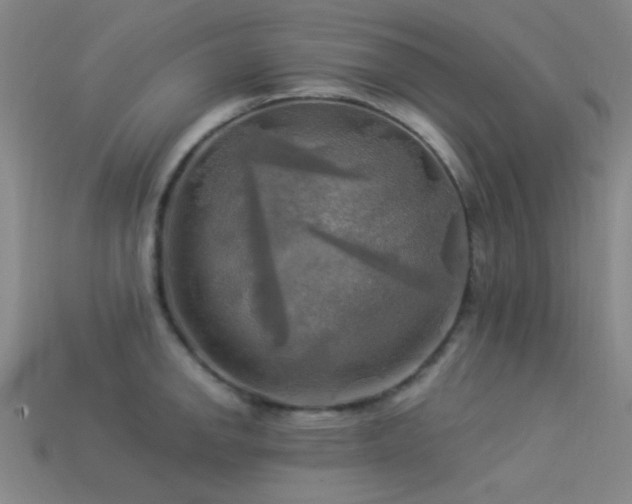 X0000113341142200909151126