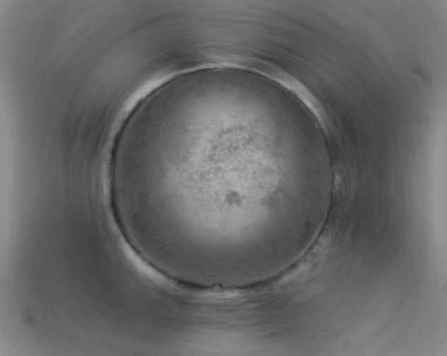X0000113341143200909151126