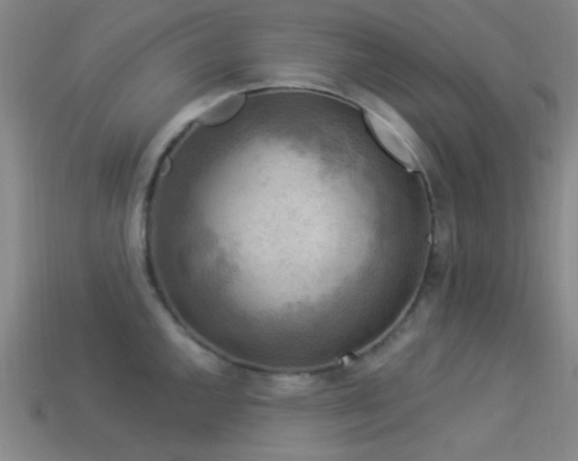 X0000113341144200909151126