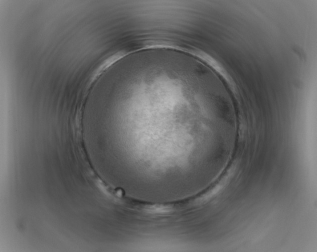 X0000113341145200909151126