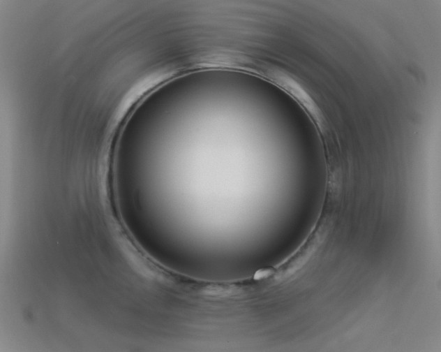 X0000113341146200909151126