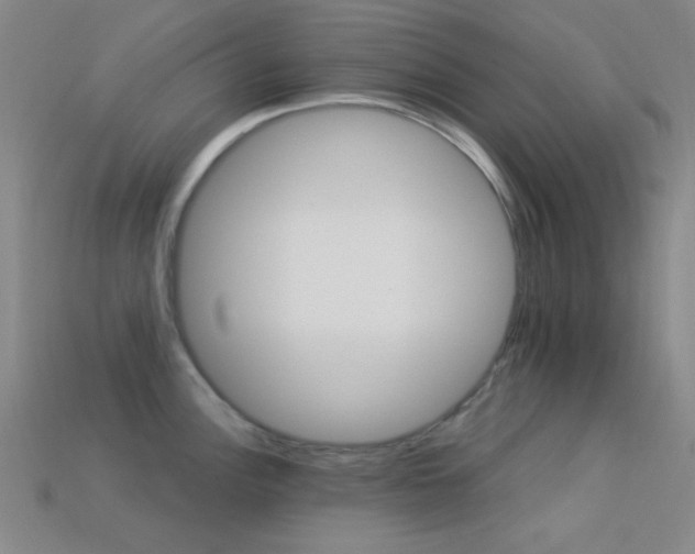 X0000113341148200909151126