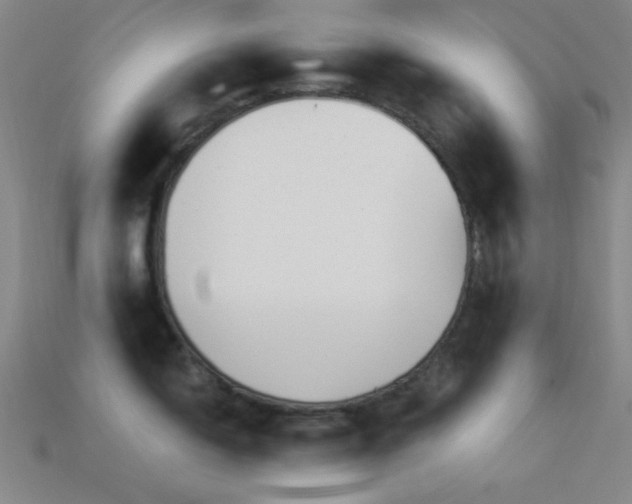 X0000113341150200909151126