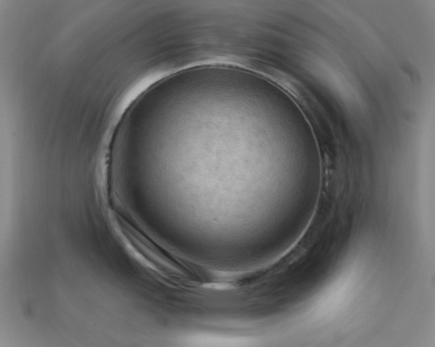 X0000113341151200909151126
