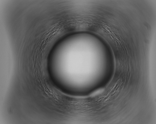 X0000113341153200909151125
