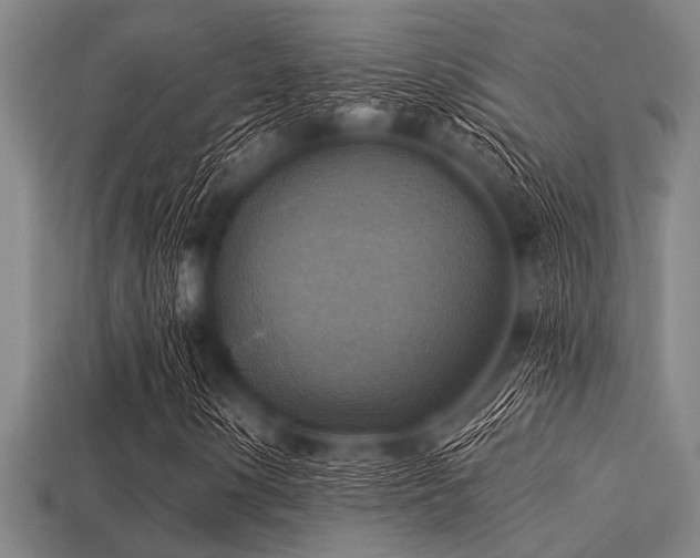 X0000113341154200909151125