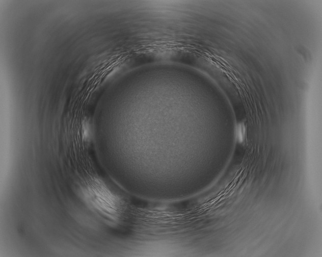 X0000113341155200909151125