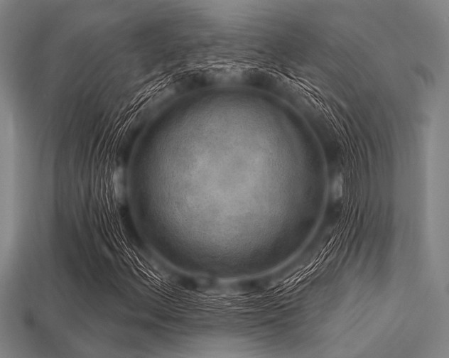 X0000113341156200909151125