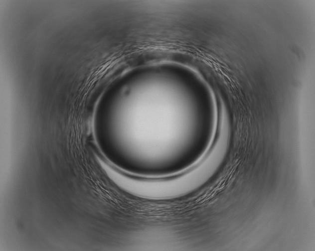 X0000113341157200909151125