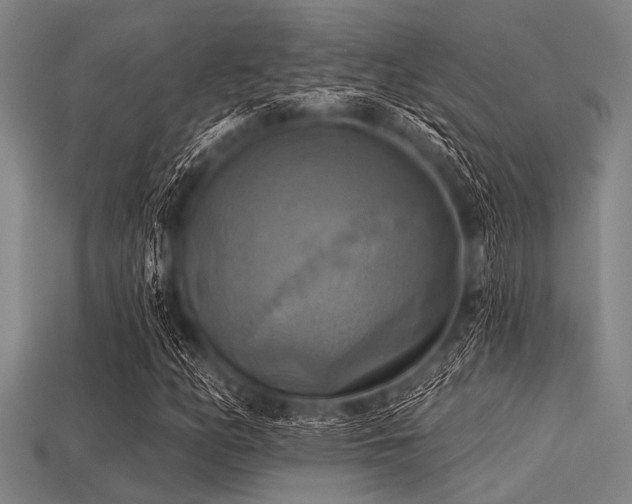X0000113341158200909151125