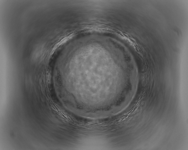 X0000113341159200909151125