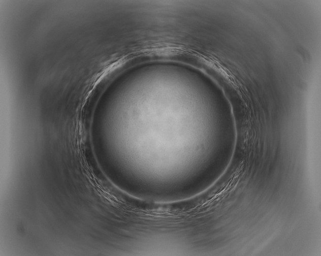 X0000113341160200909151125