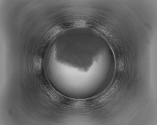 X0000113341161200909151125