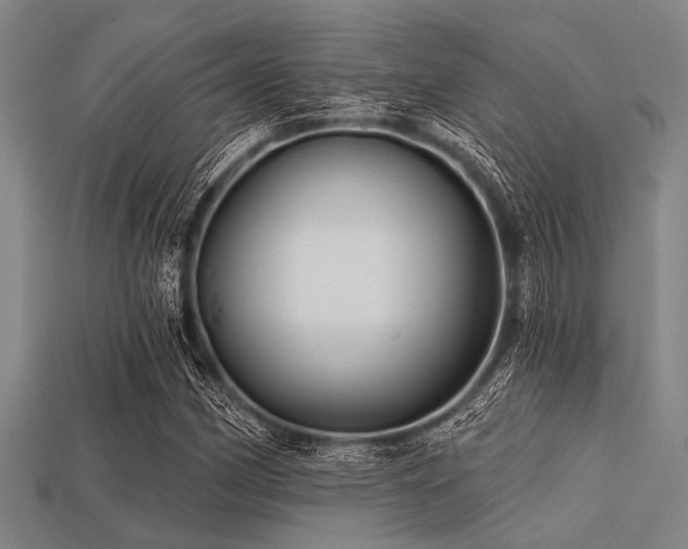 X0000113341162200909151125