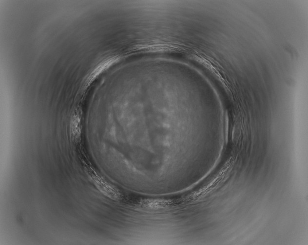 X0000113341163200909151125