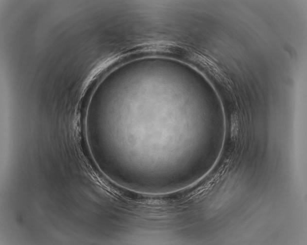 X0000113341164200909151125